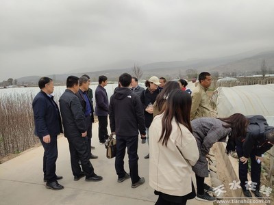 郑州商品交易所深入天水开展马铃薯产业调研，助力期货市场服务乡村振兴