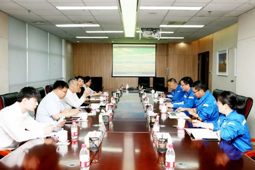 新疆 投资热土孕育石化产业高地，市场调研与机遇洞察